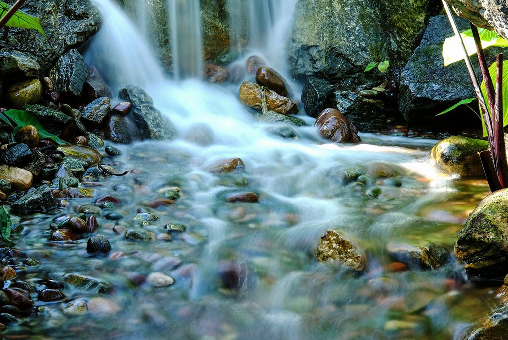 Edmonton’s Muttart Conservatory is the Perfect Place for a Baked Walk